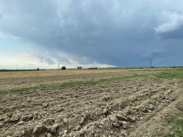 Terreno Agricolo