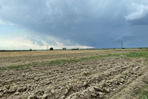 Terreno Agricolo