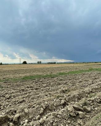 Terreno Agricolo
