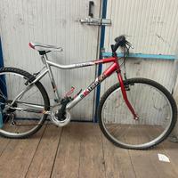 Bicicletta uomo