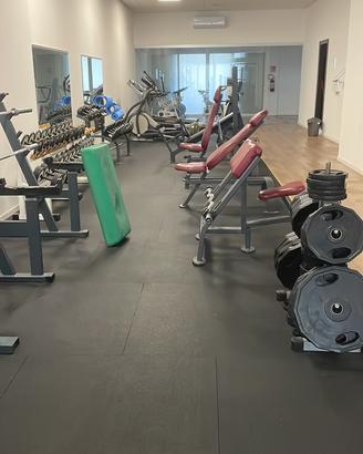 Palestra completa