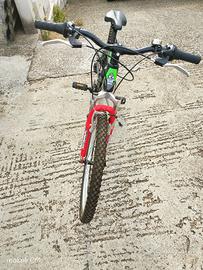 bici Mountain bike 24 
