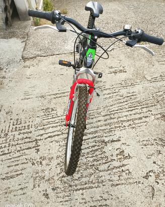 bici Mountain bike 24 