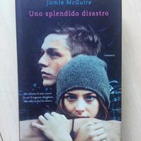 Uno splendido disastro, Jamie McGuire