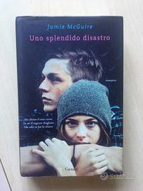 Uno splendido disastro, Jamie McGuire