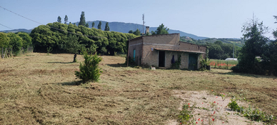 Rustico con terreno