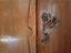 Immagine 3
