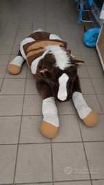 cavallo