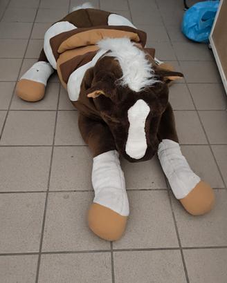 cavallo