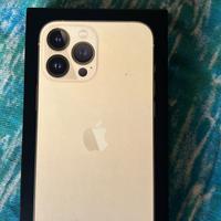 iPhone 13 pro max 256gb