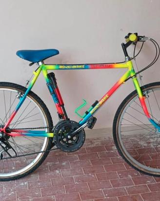 Mountain bike
