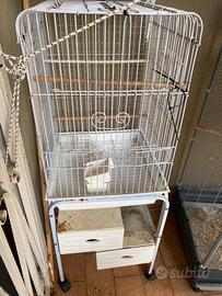 Voliera per pappagalli