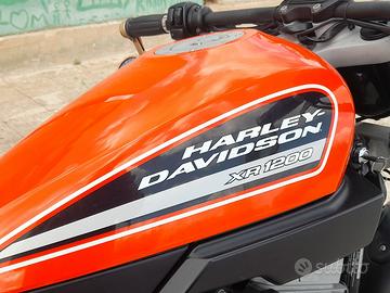 Harley Davidson XR1200 PERMUTO
