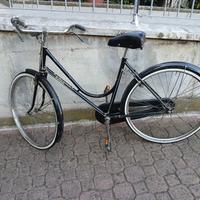 bicicletta regina da donna