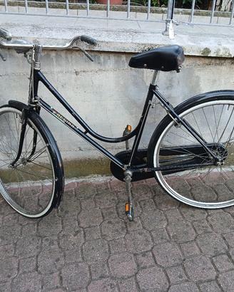 bicicletta regina da donna
