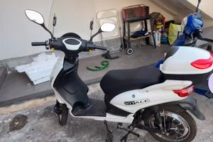 Motorino elettrico vitale
