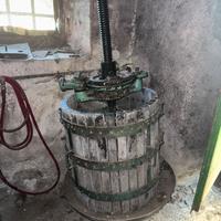 Attrezzatira per cantina uva vino