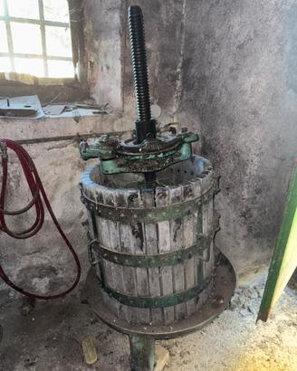 Attrezzatira per cantina uva vino