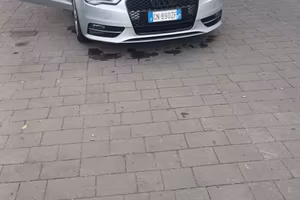 Audi a3 4x4