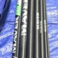Canna Roubasienne maver