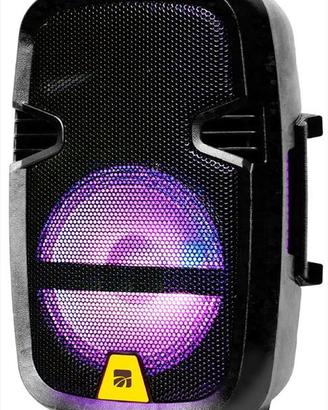 CASSE AMPLIFICATE USB BLUETOOTH