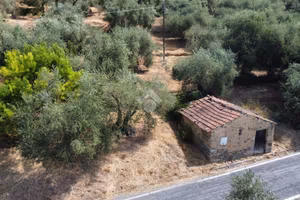 RUSTICO A PERINALDO