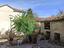 Immagine 26