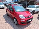 fiat-panda-benzina-cambio-automatico-km-cert