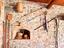 Immagine 26