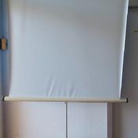 Schermo per Proiezioni con Treppiedi