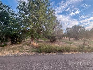 Terreno rustico nei pressi di SP70 Torre S.S./Lati