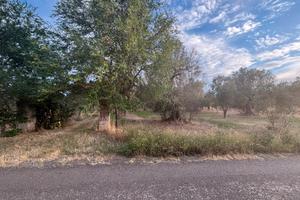 Terreno rustico nei pressi di SP70 Torre S.S./Lati