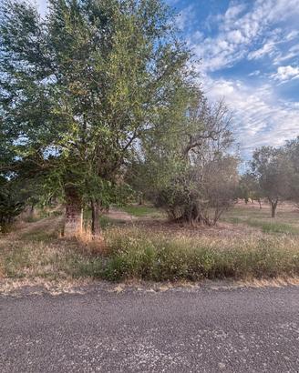 Terreno rustico nei pressi di SP70 Torre S.S./Lati