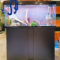 Acquario Askoll Ciano 250L con mobile