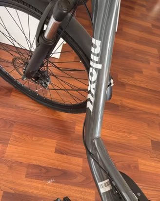 Bicicletta elettrica