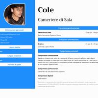 Cameriere/aiuto cameriere