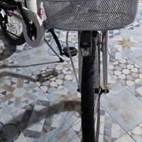 Nuovisdina bici