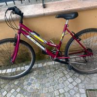 Bici Magnum