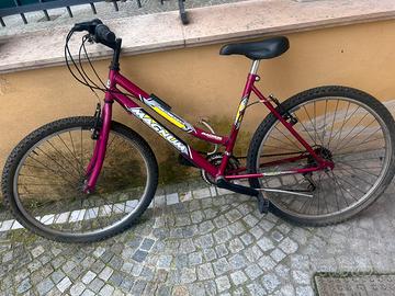 Bici Magnum