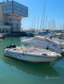 Robalo 1820 Model year 1996