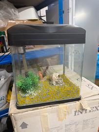 Acquario Amtra Laguna 30 litri