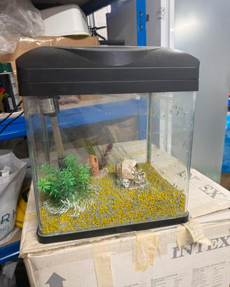 Acquario Amtra Laguna 30 litri