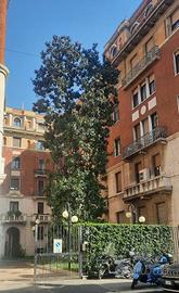 Appartamento di 130 m² con 3 locali e box auto a M