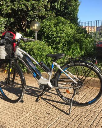 Bicicletta elettrica