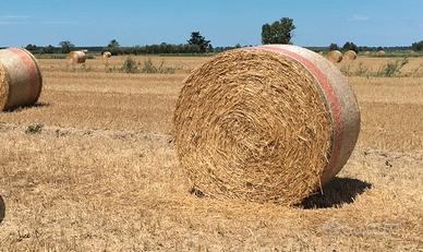 Balle di fieno 400KG l'una