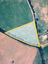  terreno agricolo 