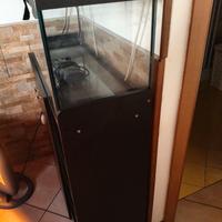 acquario + mobile