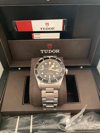 Tudor Black Bay