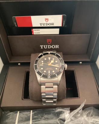 Tudor Black Bay