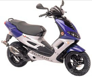 Peugeot x fight 50 Speed fight